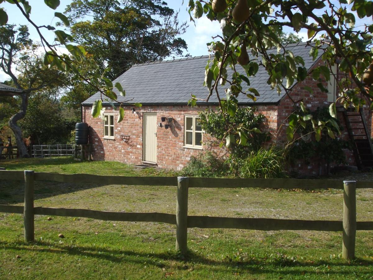 雷克瑟姆Little Pentre Barn With Cosy Logburner别墅 外观 照片